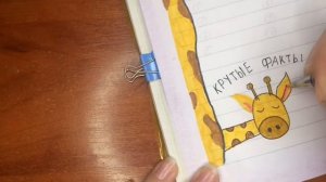 Идеи для личного дневника(лд) 💖