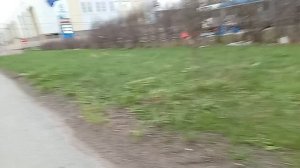 московское шоссе маршрут трамвай в Шушары