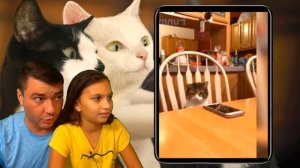 СМЕШНЫЕ 😻КОТЫ против 🐶СОБАК в ШКОЛЕ! НЕ УЛЫБНИСЬ и НЕ ЗАСМЕЙСЯ ЧЕЛЛЕНДЖ Funny Cats Реакции Валеришк