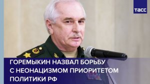 Горемыкин назвал борьбу с неонацизмом приоритетом политики РФ