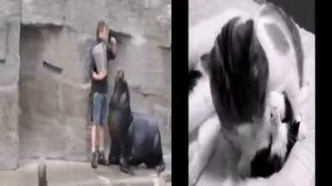 С ДНЁМ ОБЪЯТИЙ !!! ПРИКОЛЬНЫЕ ОБЪЯТИЯ !!!