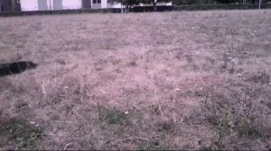 Top-5 Финтов которые часто используються в игре #2