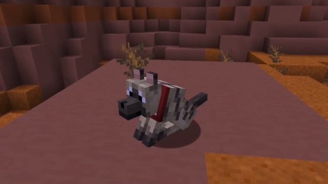 НОВЫЕ ПОРОДЫ ДЛЯ СОБАК! | 24w10a снапшот Pojavlauncher Minecraft JE