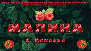 Малина(2)