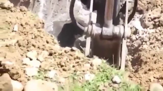 Видео приколы /Сборка приколов /Лучшие вайны и приколы за ноябрь