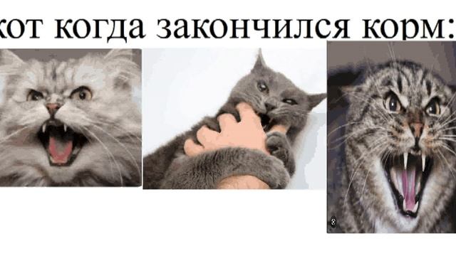 ТЕСТ НА ШИЗУ 4 смотреть онлайн