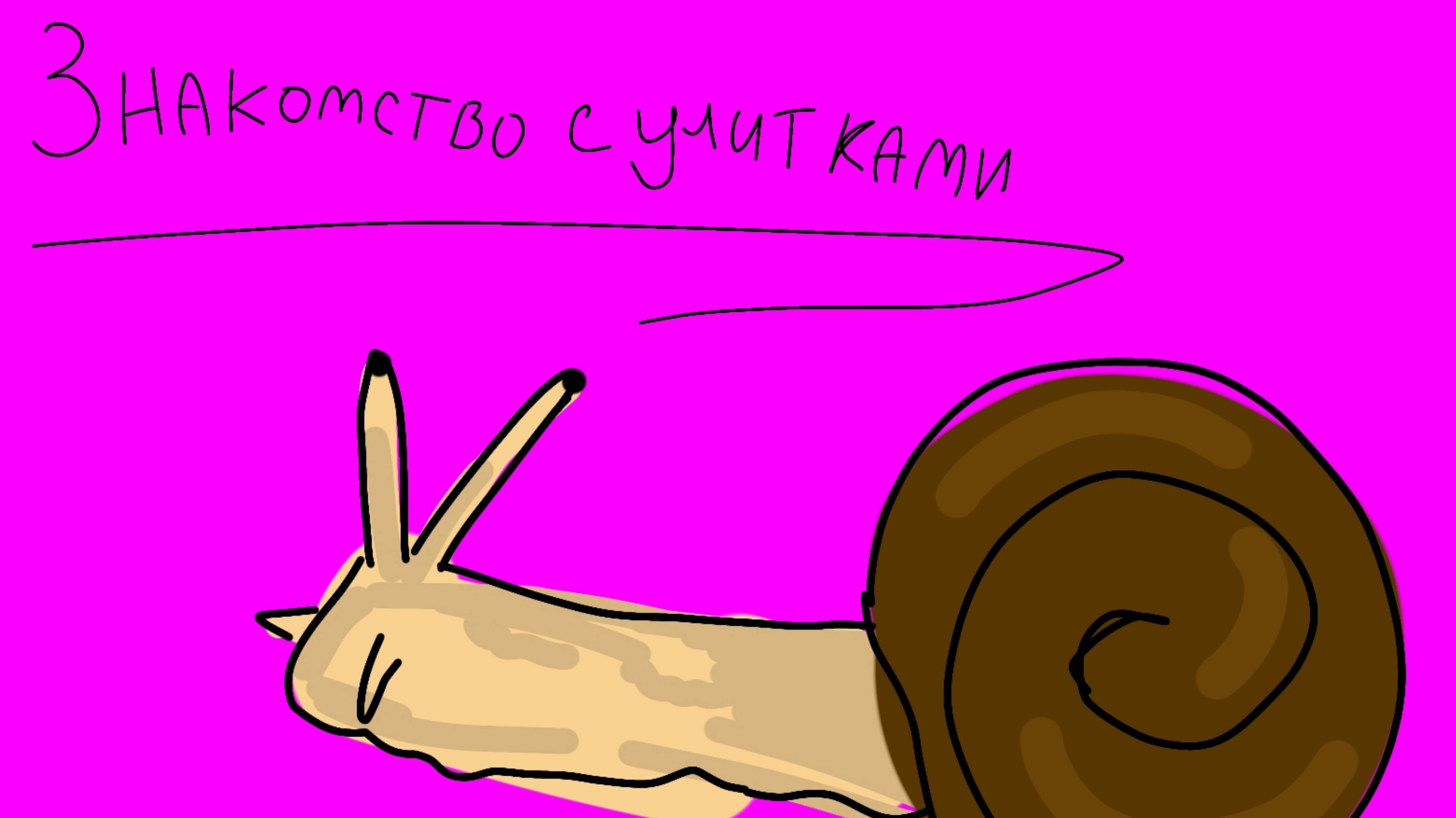 Знакомство с улитками))