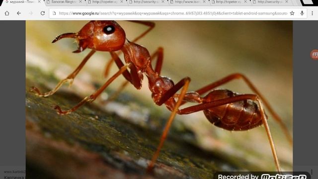 Топ 10 тупых заданий из учебника смотреть онлайн