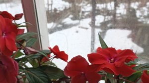 Самочувствие не очень то , ничто не проходит бесследно.