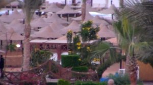 Отдых в Египте, часть 3 - отель  Festival Le Jardin.