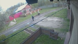 дорожный вредитель