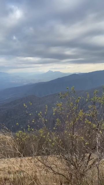 Горы Туапсинский район