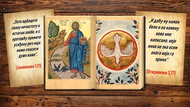 Дивља и питома маслина (Рим 11,16-17) (Св. Иринеј Лионски) смотреть онлайн