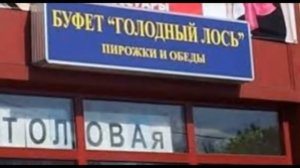 умом Россию не понять  приколы