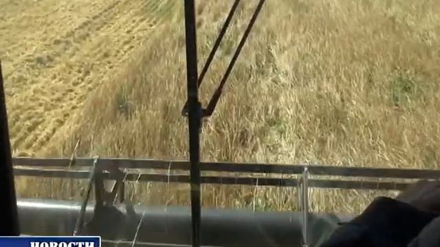 Уборка. "Нерал-Чишмы"