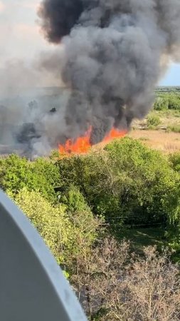 ГОРИТ ТРАВА: в микрорайоне Шилово полыхает трава. А рядом сосновый лес...