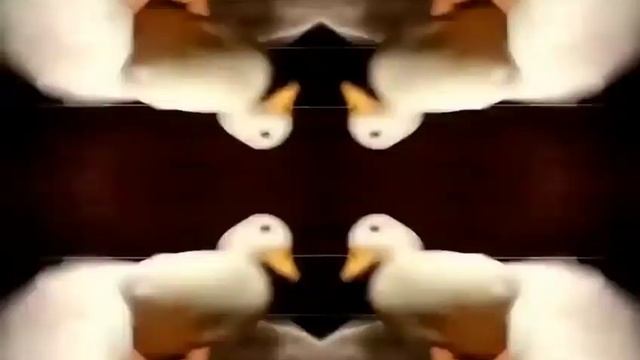 Утка несушка и злая печенька , не она любит веселиться !) смотреть онлайн