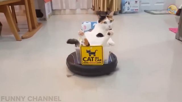 ПОДБОРКА ПРИКОЛОВ АПРЕЛЬ СМЕШНЫЕ ВИДЕО 2019 ЛУЧШИЕ ПРИКОЛЫ ржака угар жесть ржач ржака до слез #91 смотреть онлайн