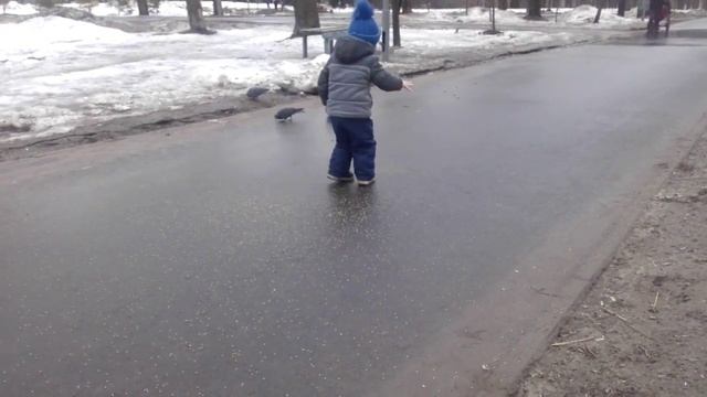 VLOG Тимур кормит голубей в парке Timur blog feeds pigeons in the park смотреть онлайн