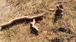 Встановив ВОМ на трактор ДТ 75.