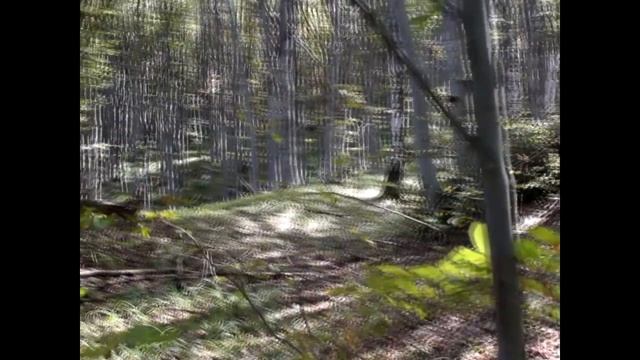 Влог #2-Витоша смотреть онлайн