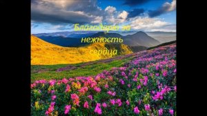 С Днём Рождения, Светлана!