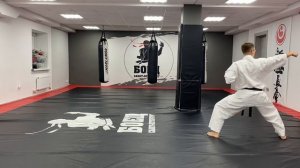 Техника в перемещении (идо) на 8 кю. КИОКУШИНКАЙ