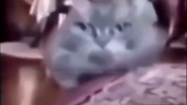 тутутуц телевизор тутутуц телевизор (фулл версия) смотреть онлайн