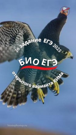 БИО ЕГЭ | Задание 26