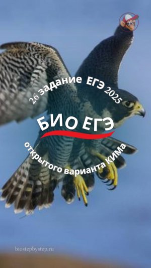 БИО ЕГЭ | Задание 26