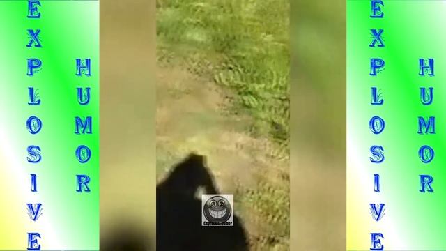 НЕЛОВКИЕ И СМЕШНЫЕ МОМЕНТЫ ИЗ ЖИЗНИ ЛЮДЕЙ.ILLEGAL AND FUNNY MOMENTS FROM THE LIFE OF PEOPLE