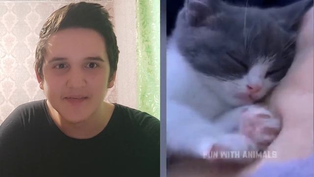 ЭТО САМЫЕ СМЕШНЫЕ и ПРИКОЛЬНЫЕ ВИДЕО ПРО ЖИВОТНЫХ !