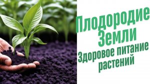 Здоровое питание растений.