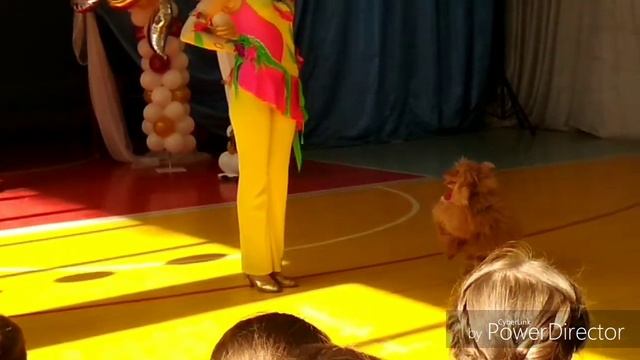 VLOG! Первый день в школьном лагере! К нам приехал цирк! Очень интересно! смотреть онлайн