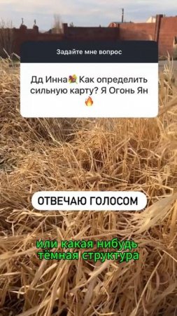 Ответы на вопросы