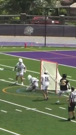 The bench couldn’t believe this goal  #shorts