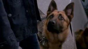 Supernatural - Говорящий голубь...