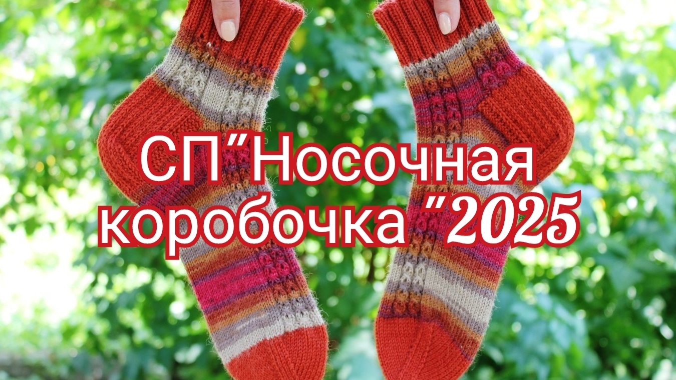 СП Носочная коробочка 5 с Еленой Велиной/отчёт апрель