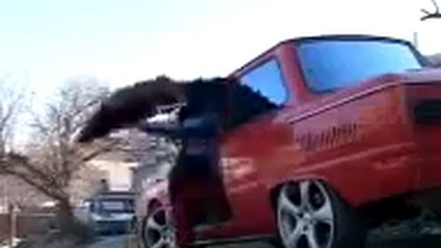 Приколы смотреть онлайн