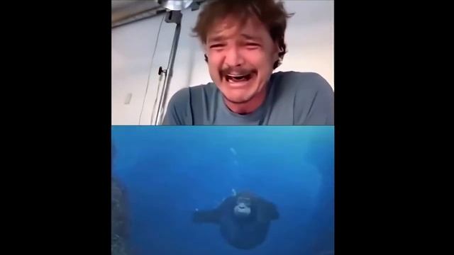 Pedro Pascal and monkey underwater. Педро Паскаль и обезьяна под водой.