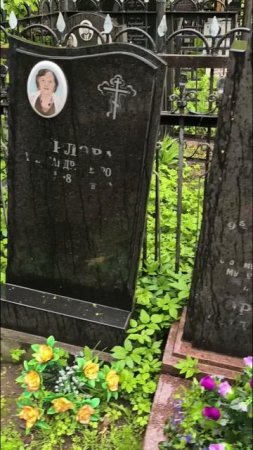 Антидождь, чтобы видеть надписи во время дождя