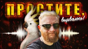 30.04.25 |  "Простите, вырвалось!" №194 | Новости | Пояснительная Бригада выехала
