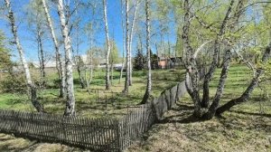 Снт светлый