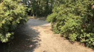 Кукольный театр Нимфа мини фильм ДЕТСКОГО хрестьянского лагеря Спасатели "Добрый саморитянин".