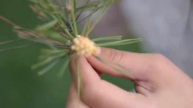 прогулка Рахат и Динара 2013 смотреть онлайн