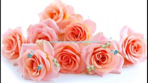 С днем рождения, ЛЕНА