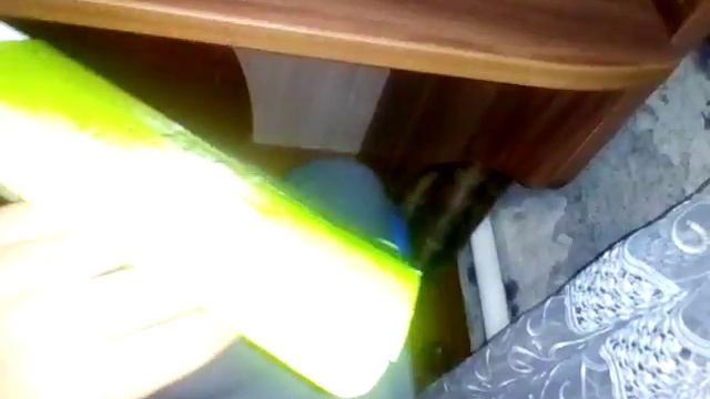 Мир приколов ур