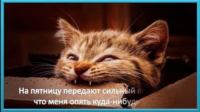 Ура, пятница! Хороших выходных! Пятница, наконец то ты пришла!