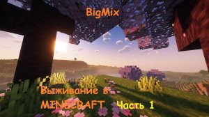ВЫЖИВАЕМ В MINECRAFT часть 1