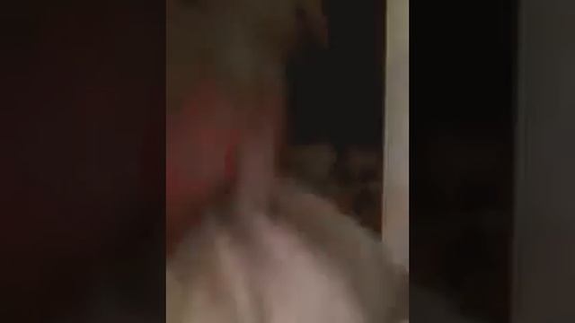 Прикольное утро смотреть онлайн